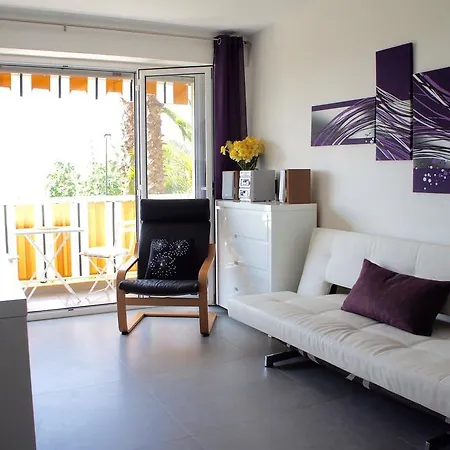 Le Vina Del Mar Daire Menton